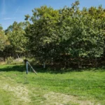 Casa rural Bueu 0077-400