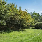 Casa rural Bueu 0078-400