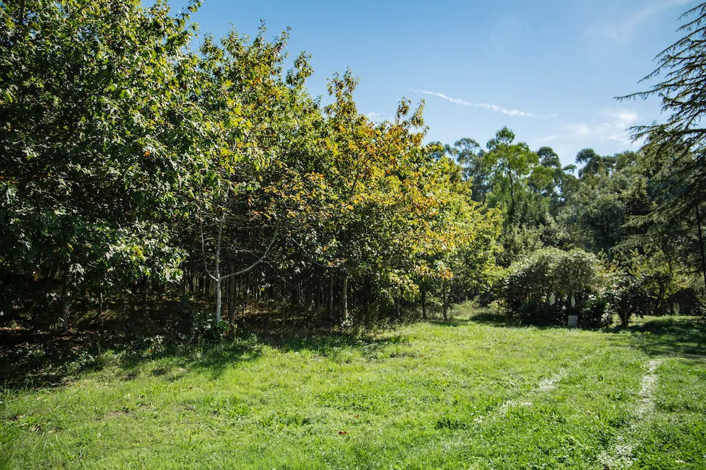 Casa rural Bueu 0078-400